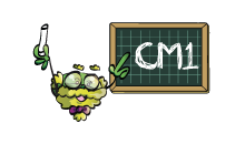 cm1
