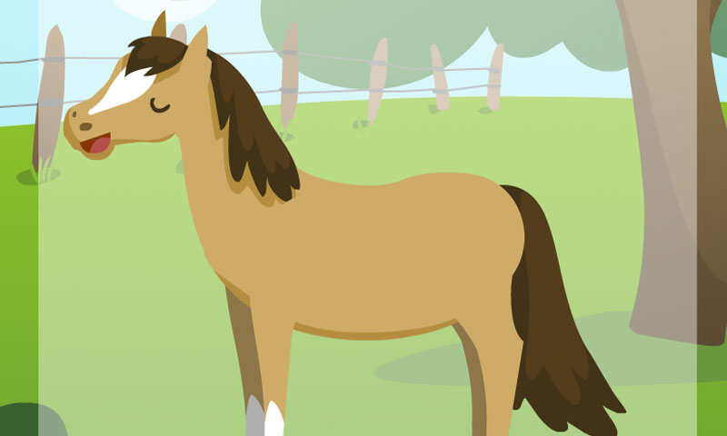 les-animaux-de-compagnie